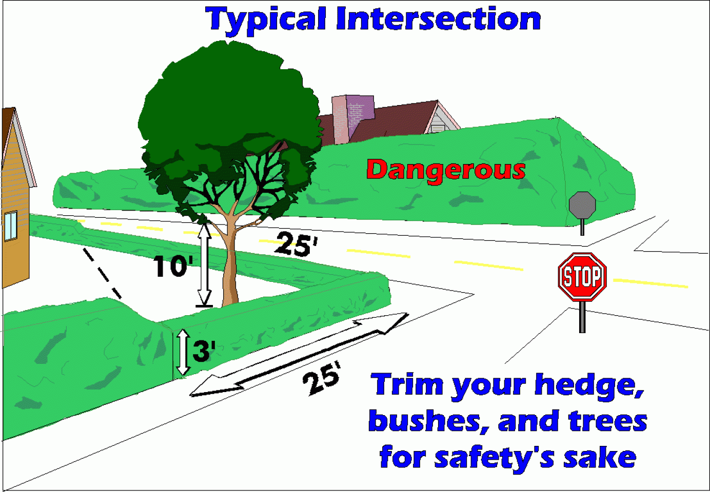 Diagram of a typical intersection showing the importance of trimming hedges, bushes, and trees to ensure a clear line of sight for safety. Overgrown vegetation is labeled as dangerous, with specific measurements indicated for safe trimming distances.