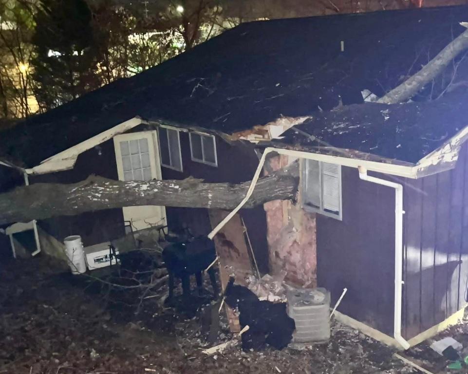 Tree falls on couple's home