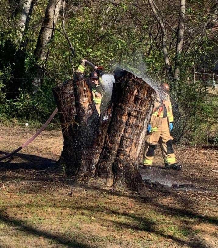 Tree stump burn incident