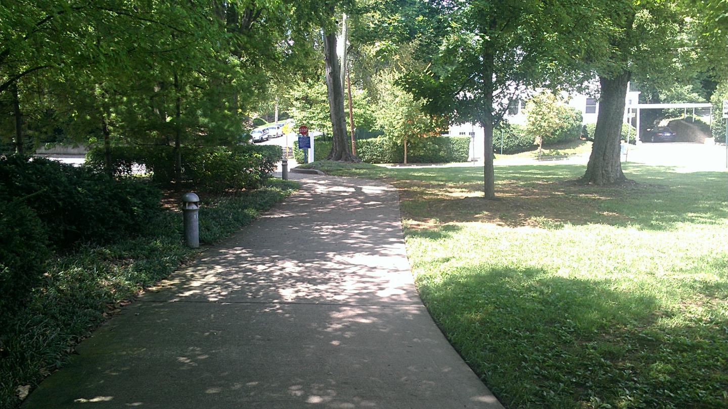 A multi-use path with a sidewalk with a bench and a fire hydrant.